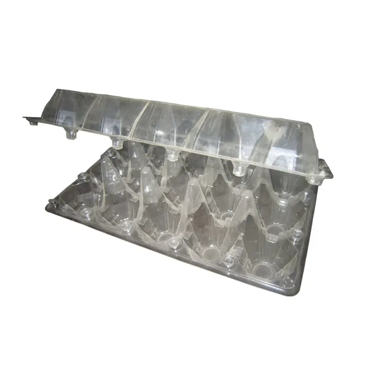 Automatic punching and shearing plastic egg box carton tray container vacuum forming mould mold die