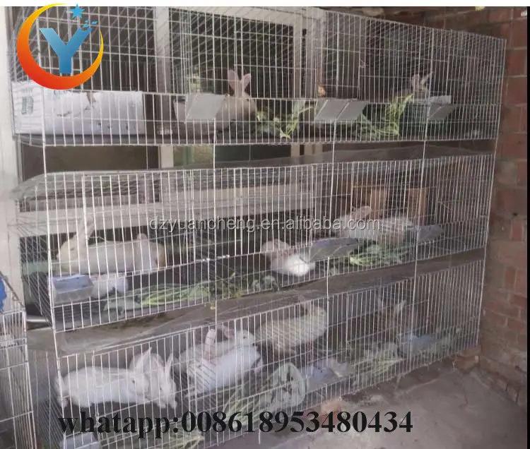 Used Breeding Cage for Rabbits Farming in India for Sale