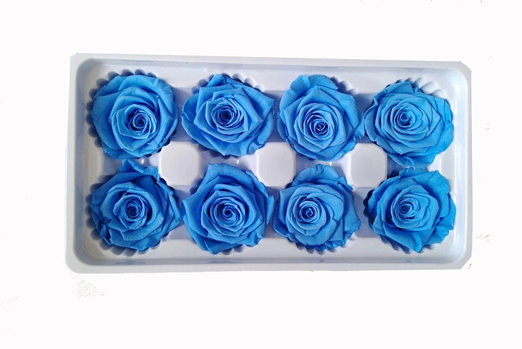 Bleu vif