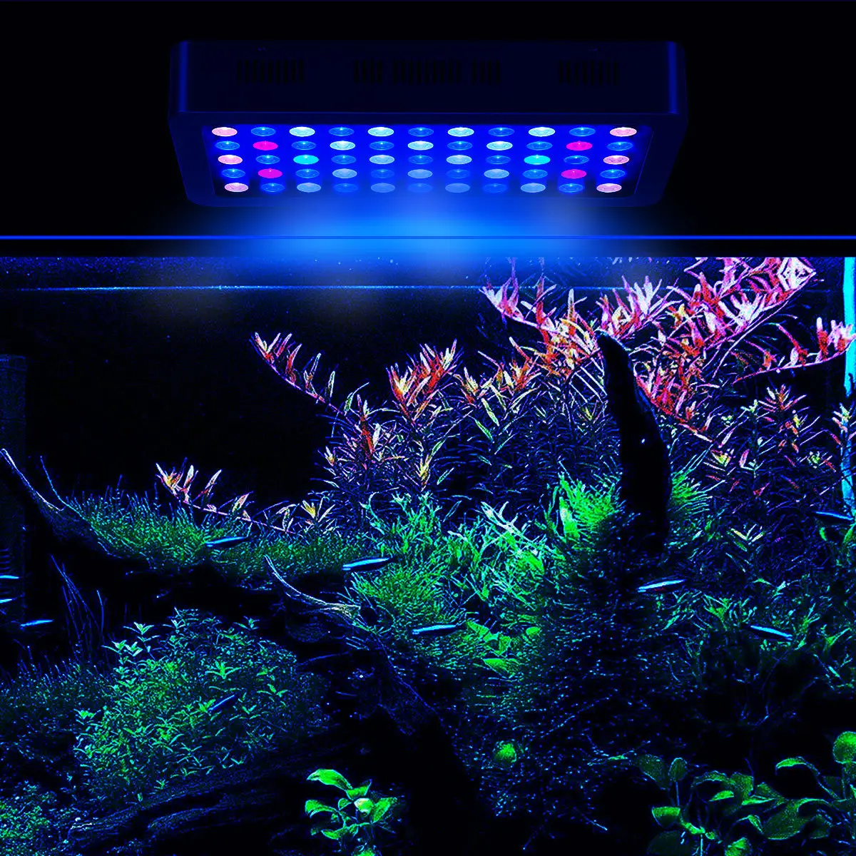 2018 Wifi app di controllo intelligente 165 w spettro completo di colore rosso blu led di illuminazione barriera corallina ha condotto la luce dell'acquario