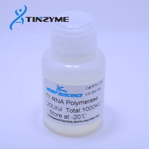 <strong>T7</strong> RNA <strong>Polymerase</strong>, Recombinant <strong>T7</strong> <strong>Polymerase</strong> Animal Free, Bulk Pack - Product Image 4