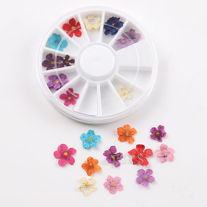 12 color
