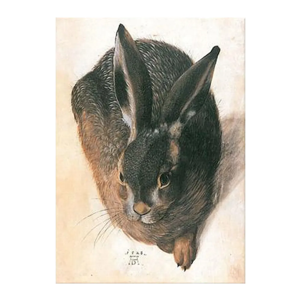 Pintura en lienzo de Albrecht Durer, conejo, productos para el hogar, arte de pared, famosa reproducción