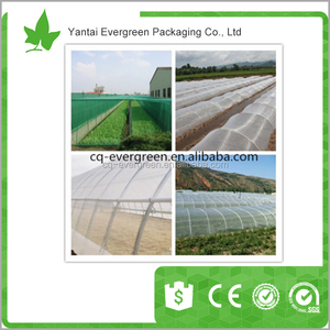 Anti Insetti Netto EGP HDPE in Rotolo 8X30M Tessuto di Maglia 100% Del Virgin HDPE Campione Gratuito Magazzino Offerto Evergreen 5 Tonnellate CN;SHN Forte - Product Image 3