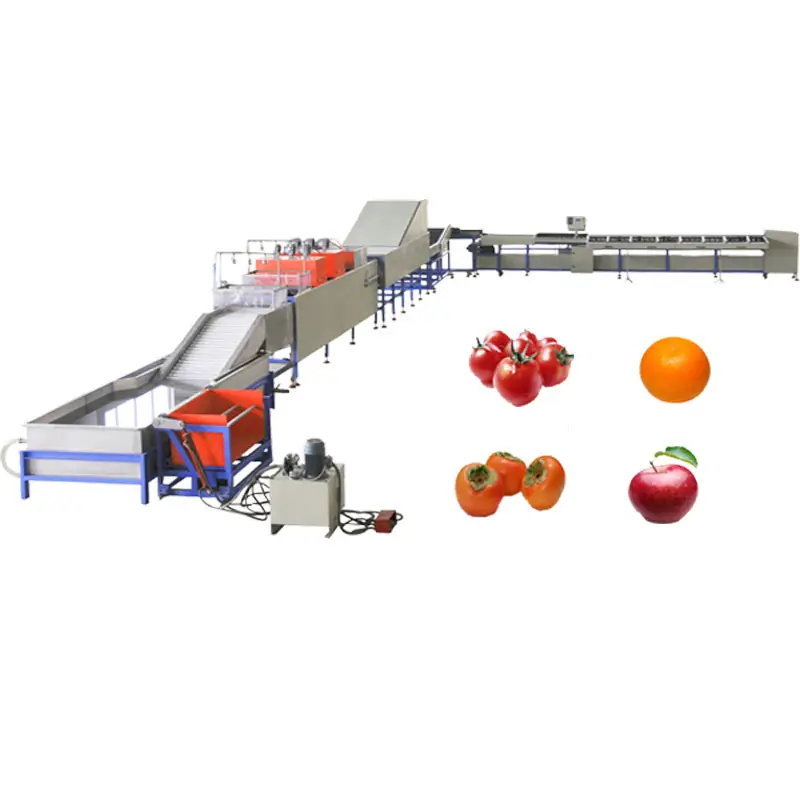 CE و ISO9001 وافق الفاكهة تنظيف الصبح التجفيف الدرجات خط الحمضيات/ليمون/الطماطم