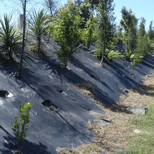 <strong>Tree</strong> Protector Weed Mat Agriculture Plastic <strong>Net</strong> Anti Weed Mat Weed Barrier Fabric Black Dust Control Ground <strong>Cover</strong> - Product Image 2