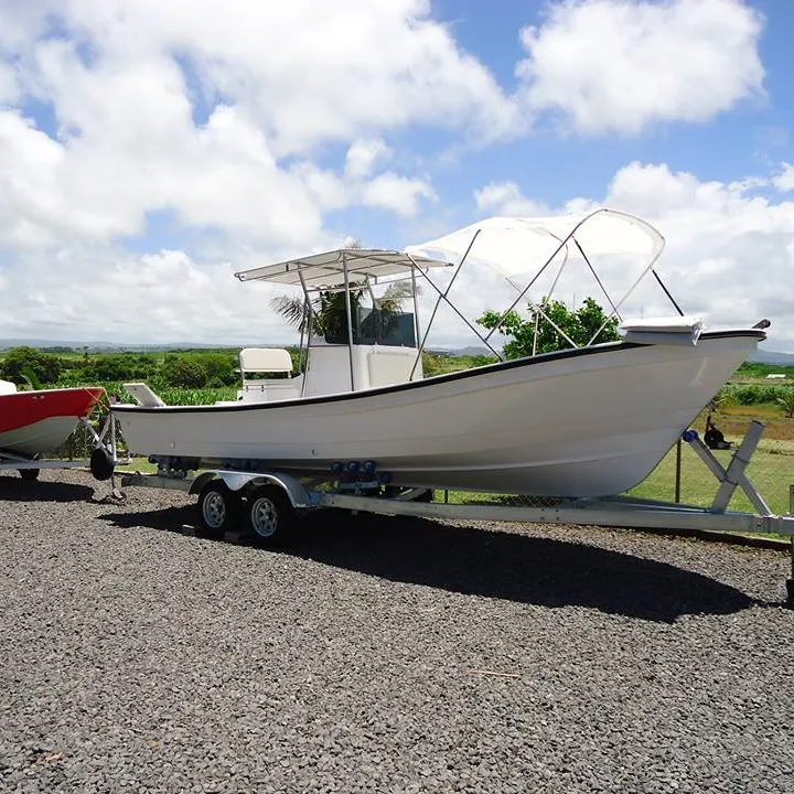 Liya 7.6 m fibra con los pescados vivo caja de fibra de vidrio barcos de pesca para la venta