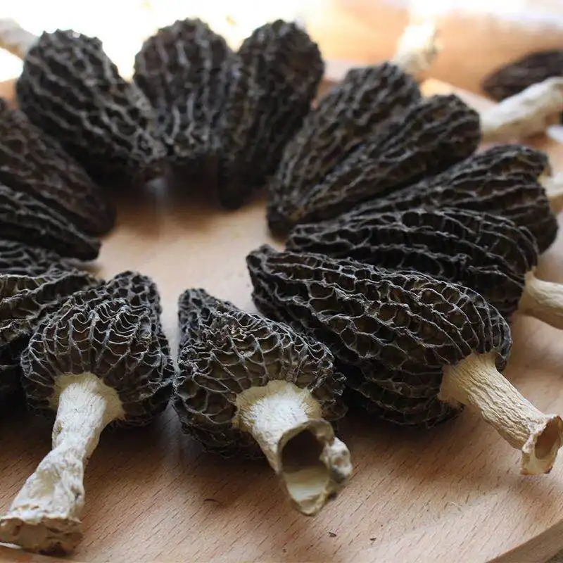 Precio de fábrica seco Morel cultivar fresco Morel setas