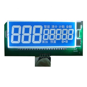 Modulo Lcd monocromatico produttore Display LCD Custom TN colore nero VA HTN STN FSTN 7 segmento Cog LCD modulo schermo Lcd per il