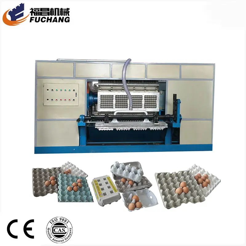 Shandong paper material pulp molding packing eggs equipment egg tray making machine