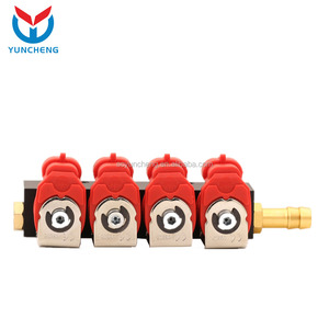 Hotsale <strong>Gnv</strong>/ngv Gpl Glp lpg <strong>Injector</strong> Rail to Conversion Kit - Product Image 6