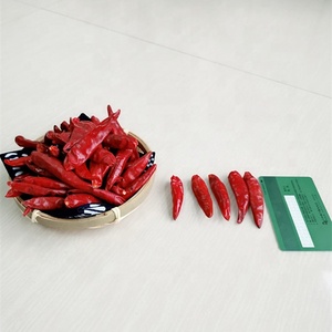 Çin kırmızı biber Tien Tsin şili biber veya Tianjin biber - Product Image 1