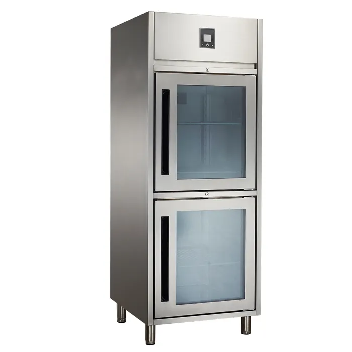 GN 1/1 & 2/1 ticari soğutmalı chiller kabine paslanmaz çelik buzdolabı dondurucu cam kapı ile