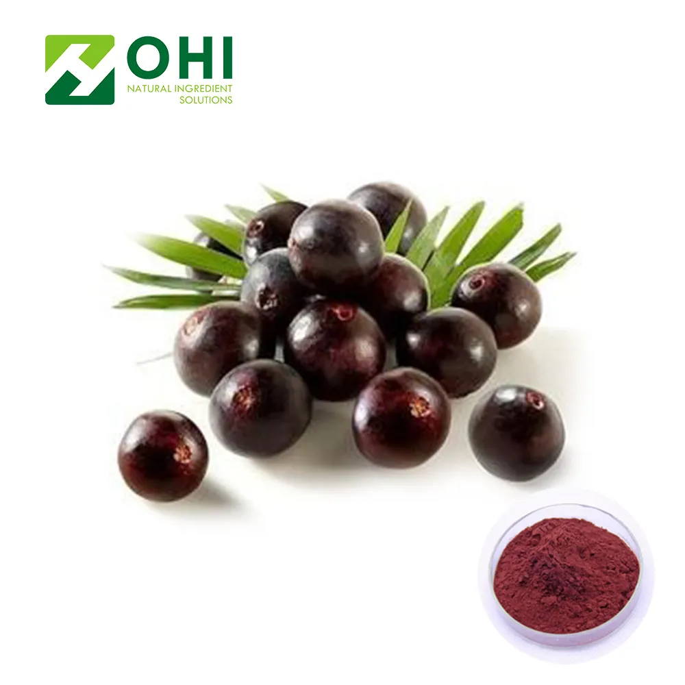 Yüksek kaliteli Euterpe badiocarpa doğal acai berry özü tozu dondurulmuş acai berry