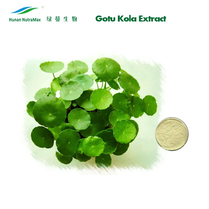 water- oplosbaarheid centella asiatica extract 40% asiaticoside