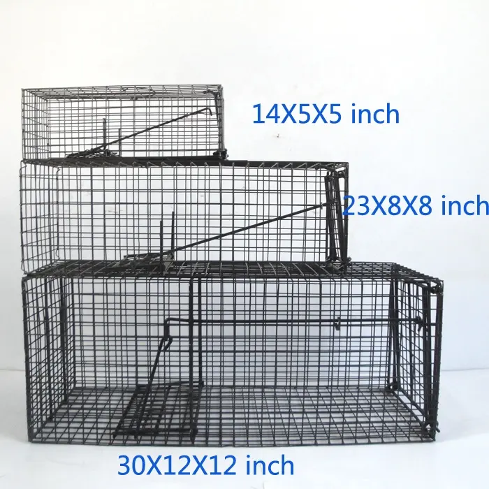 Three Size Live Catch Animal Trap Cage For Cats Rats Muskrats ,Skunks,Raccoons Martins China Manufacturer