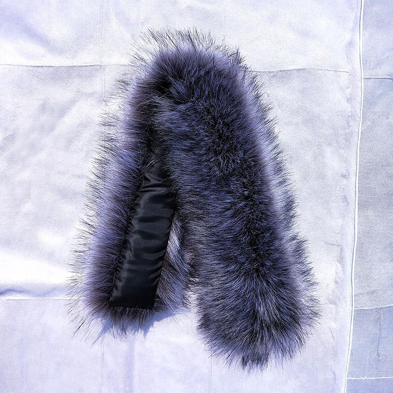 Silver fox