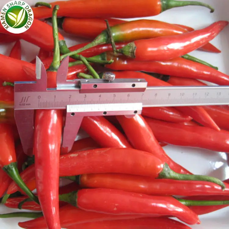 Wholesale Hot Pepper Frozen Red Chilli