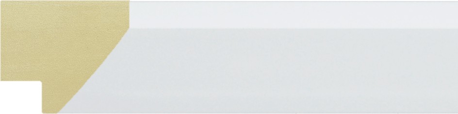 J04410-011Q