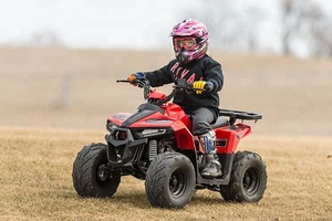 Tao Motor Chain Drive <strong>Quad</strong> ATV 110cc Mudhawk 110 with EPA ECE - Product Image 4