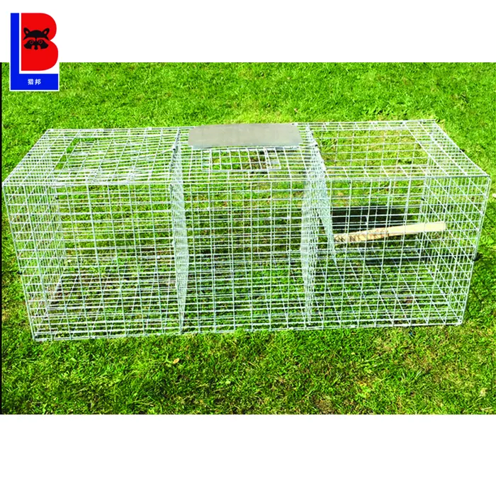 Factory Supply Humane Live Animal Bird Cage Trap Made in China