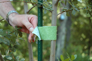Amarras de árvore da marca uma alça jardim amarras e suportes de plantas para crescimento eficaz