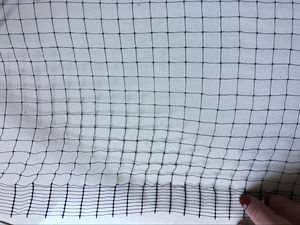 Günstiger Preis Landwirtschaft Anti-Vogel-Netz und Vogelschutz netz für Weinberg 100% neue HDPE-Wickel gestrickt, extrudiert 7-10g/m2 Diamant - Product Image 5
