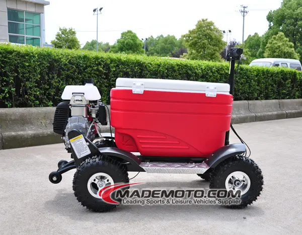 Hot Selling Ce Goedgekeurd Gas-Aangedreven 43CC 4-Takt Motor Scooter