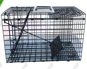 Haierc Single Door Animal Trap Cage Non-folding <strong>Humane</strong> Live <strong>Feral</strong> for Foxes,Squirrel,Cat - Product Image 1