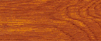 Chêne doré
