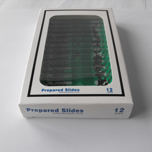 Plastic Animal <strong>Microscope</strong> Prepared <strong>Slides</strong> 12 Kinds Animals <strong>Slides</strong> - Product Image 4