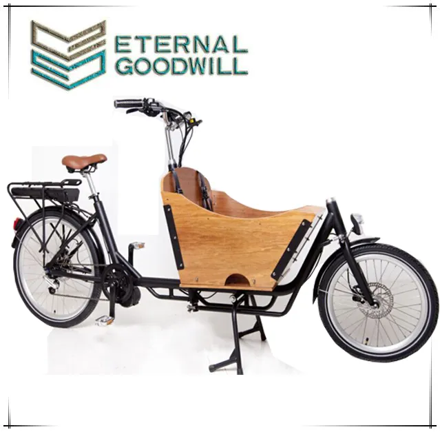Classic pedal electric cargo bike/dutch cargo bike/cargo tricycle for sale