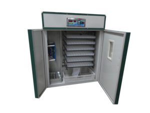 Vente Grande capacité industrielle WQ-528 oeufs de poulet incubateur à couver des œufs de poule - Product Image 3