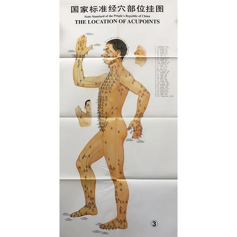 Clear side wall map the human body chart meridian points meridian acupuncture head ear hand foot Scrapping in Chinese-English