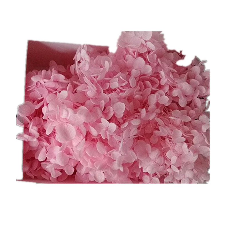 ROSA CLARO