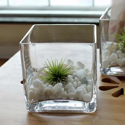 Vaso de vidro quadrado para plantas, vaso de vidro transparente para arranjo de flores, lembrancinha de casamento, decoração de mesa