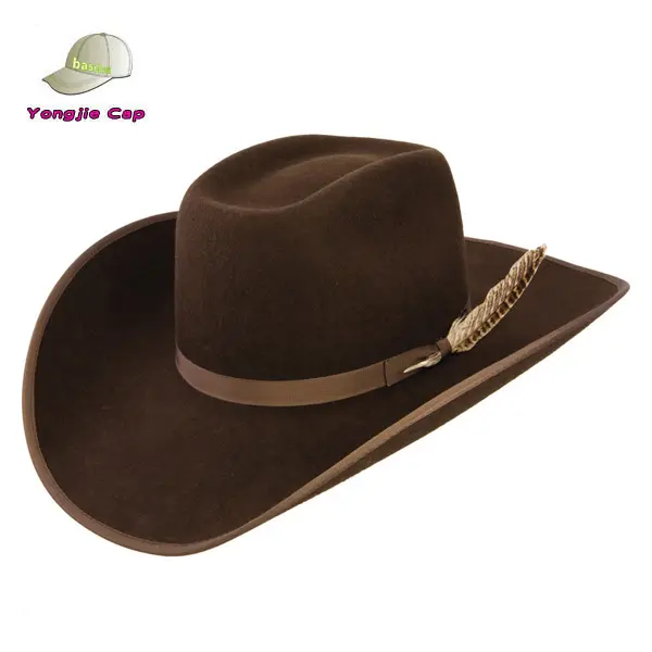 Chapéu de cowboy, chapéu da moda, de alta qualidade com pena