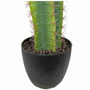 Sa mạc Nhà Máy 105 cm Thu Nhỏ Cây Xương Rồng Thực Tế Tên Khoa Học Cây Xương Rồng Trang Trí Văn Phòng - Product Image 3