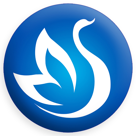 company logo