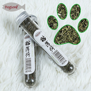 Hierba gatera, natural, orgánica, fresca, para gatos y gatitos