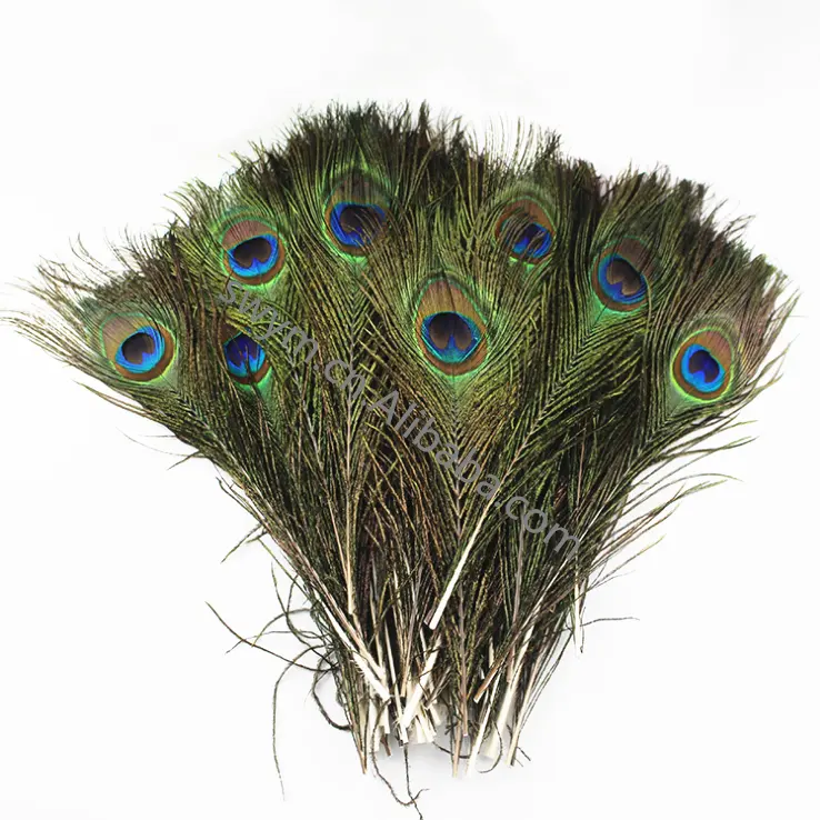 Cheap China Factory Top Quality Newly Design Natural Color Tassel Fringe Trims Feathers For Your Hair Nature Peacock Feather
