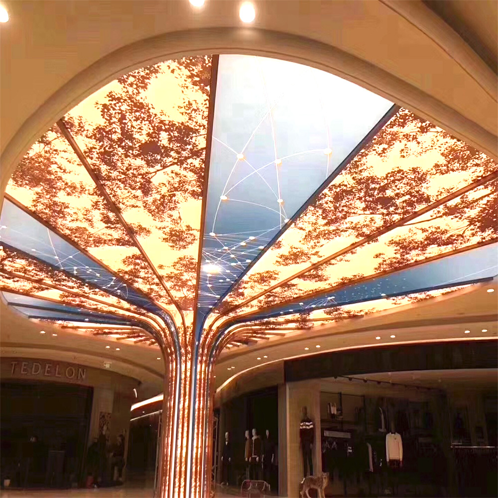 Film de plafond tendu 01