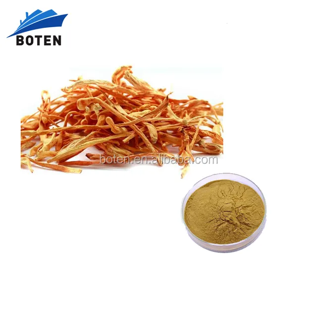 Tıbbi mantar Cordyceps militaris özü Cordycepin tozu 0.5%