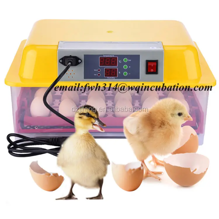 Buona qualità full automatic mini 24 uova di gallina incubatrice per il pollo, uova di quaglia, uova di anatra