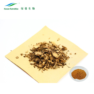 Free Samples Dong Quai Root Dong Quai Powder Dong Quai Extract Powder - Product Image 3