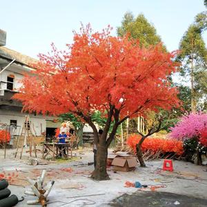 High Quality Chinese Manufacturer Large Outdoor Autumn <strong>Tree</strong> Artificial Red <strong>Maple</strong> <strong>Tree</strong>