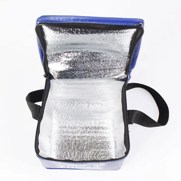 Pequeño suave de Nylon de logotipo impreso de hielo de 330ml de cerveza puede 6 Paquete de bolsa