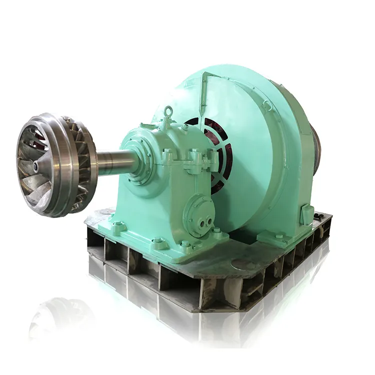 Pequeña turbina de agua de alta calidad y Micro generador de turbina de agua de planta hidroeléctrica