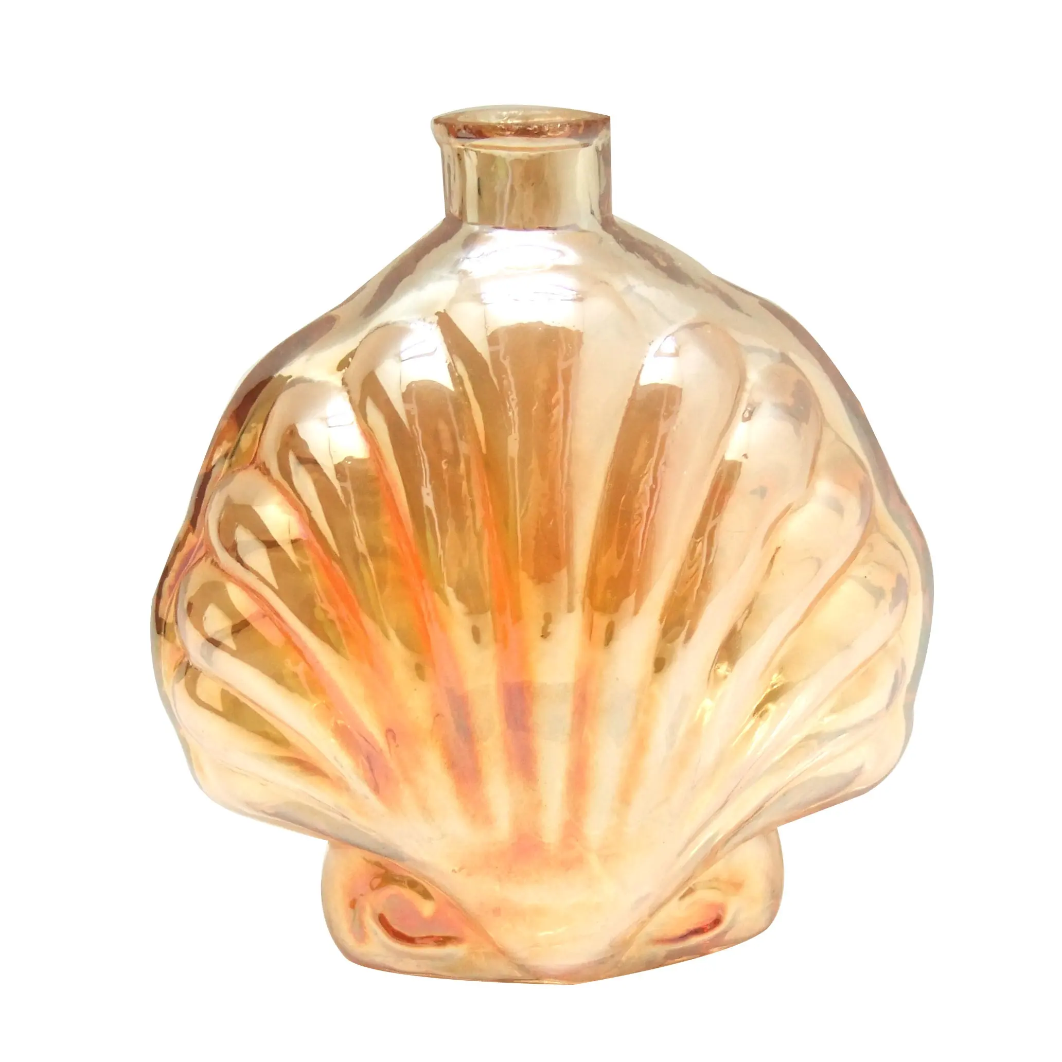 10oz sea shell shaped aromatherapy bottle reed diffuser glass bottle with rattan sticks HAODEXIN