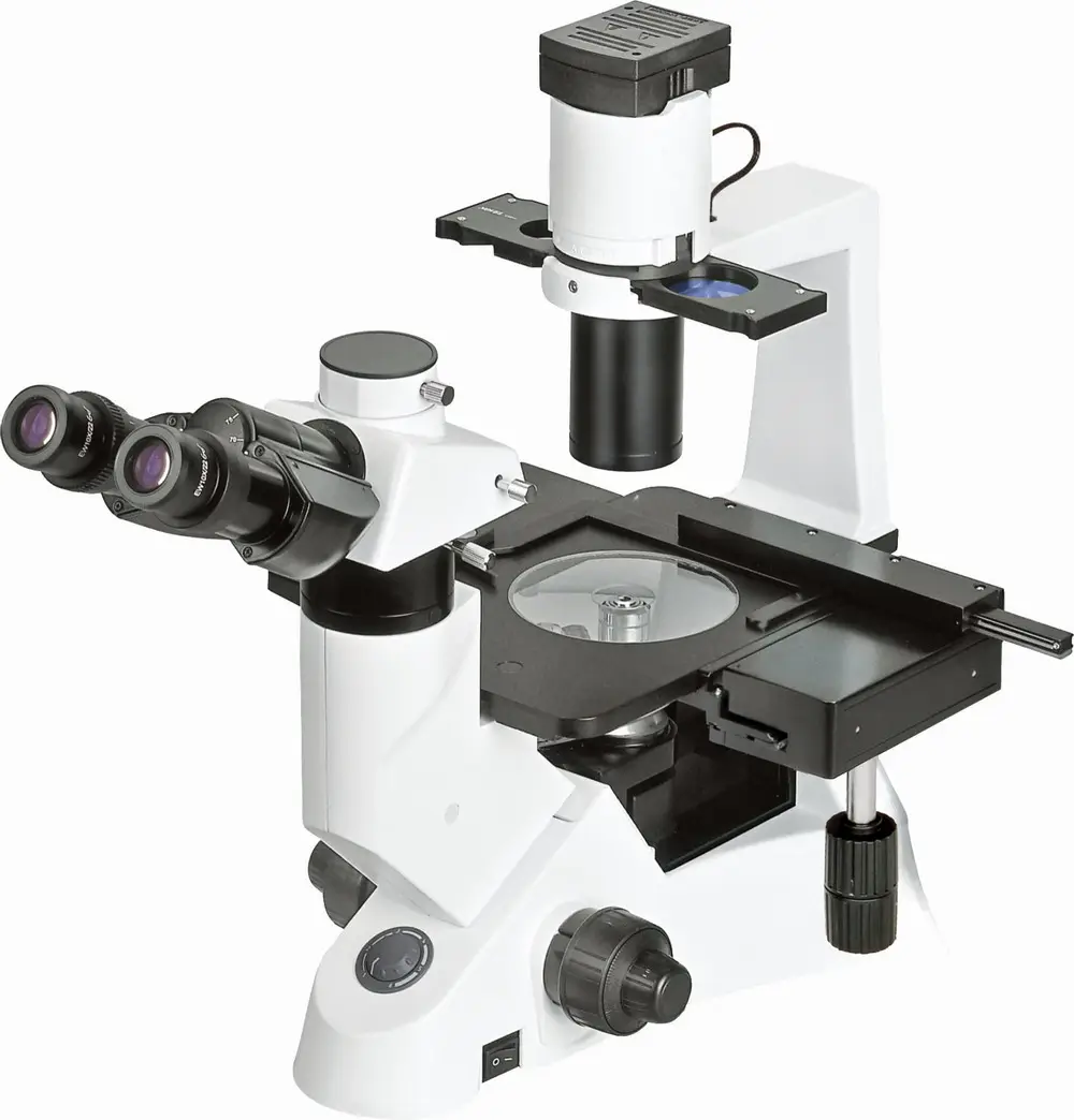 Microscópio metálico invertido, teoria trinocular microscópio